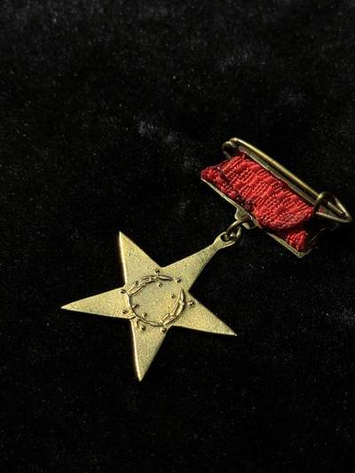 戎马世界章牌大赏第115期 越南英雄金星奖章