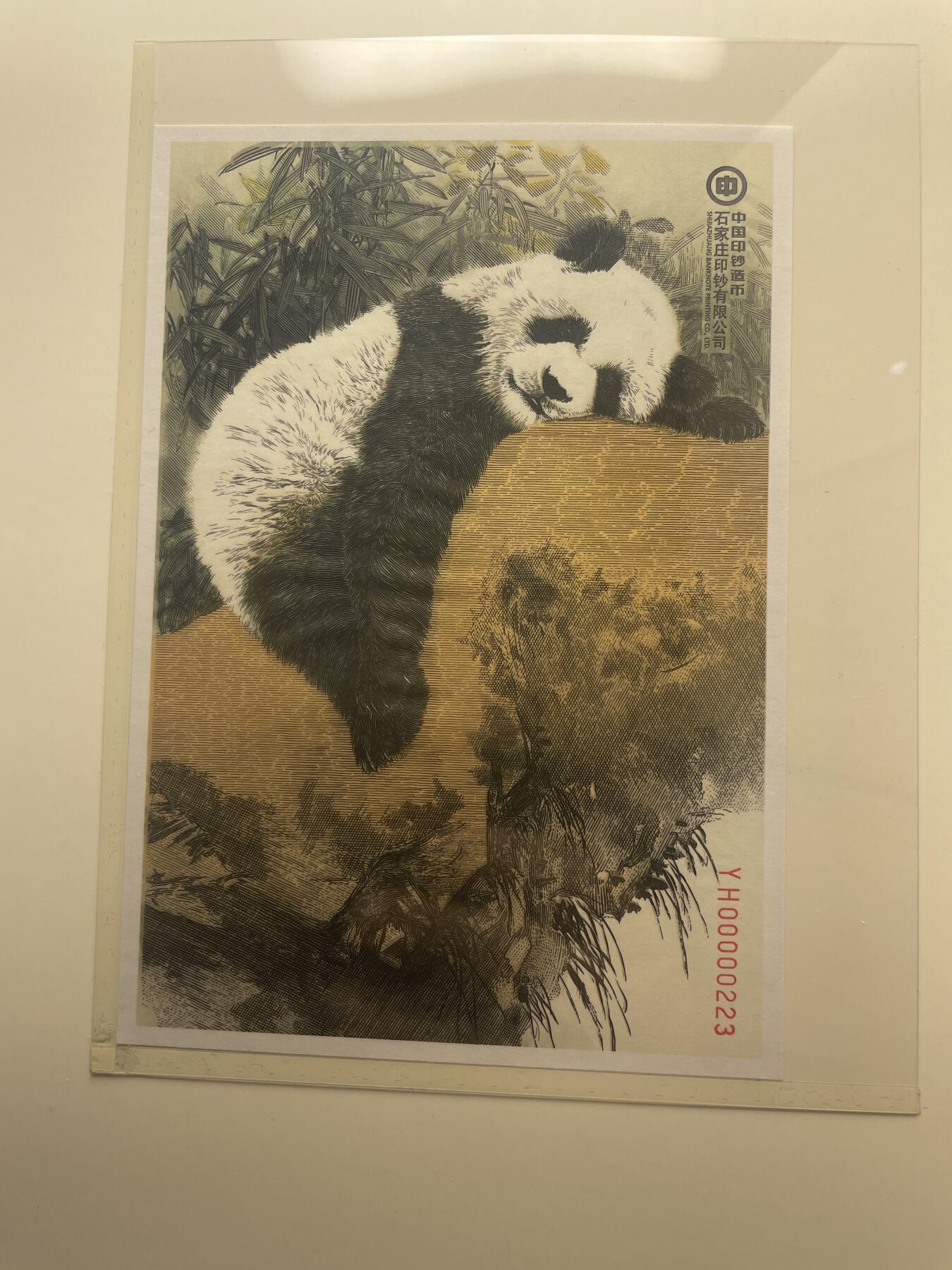 品味人生 大熊猫钞艺画一套二张