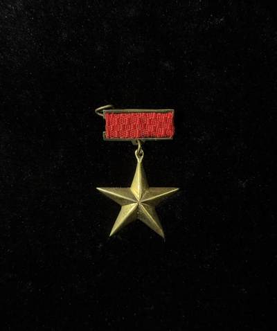 戎马世界章牌大赏第115期 越南英雄金星奖章