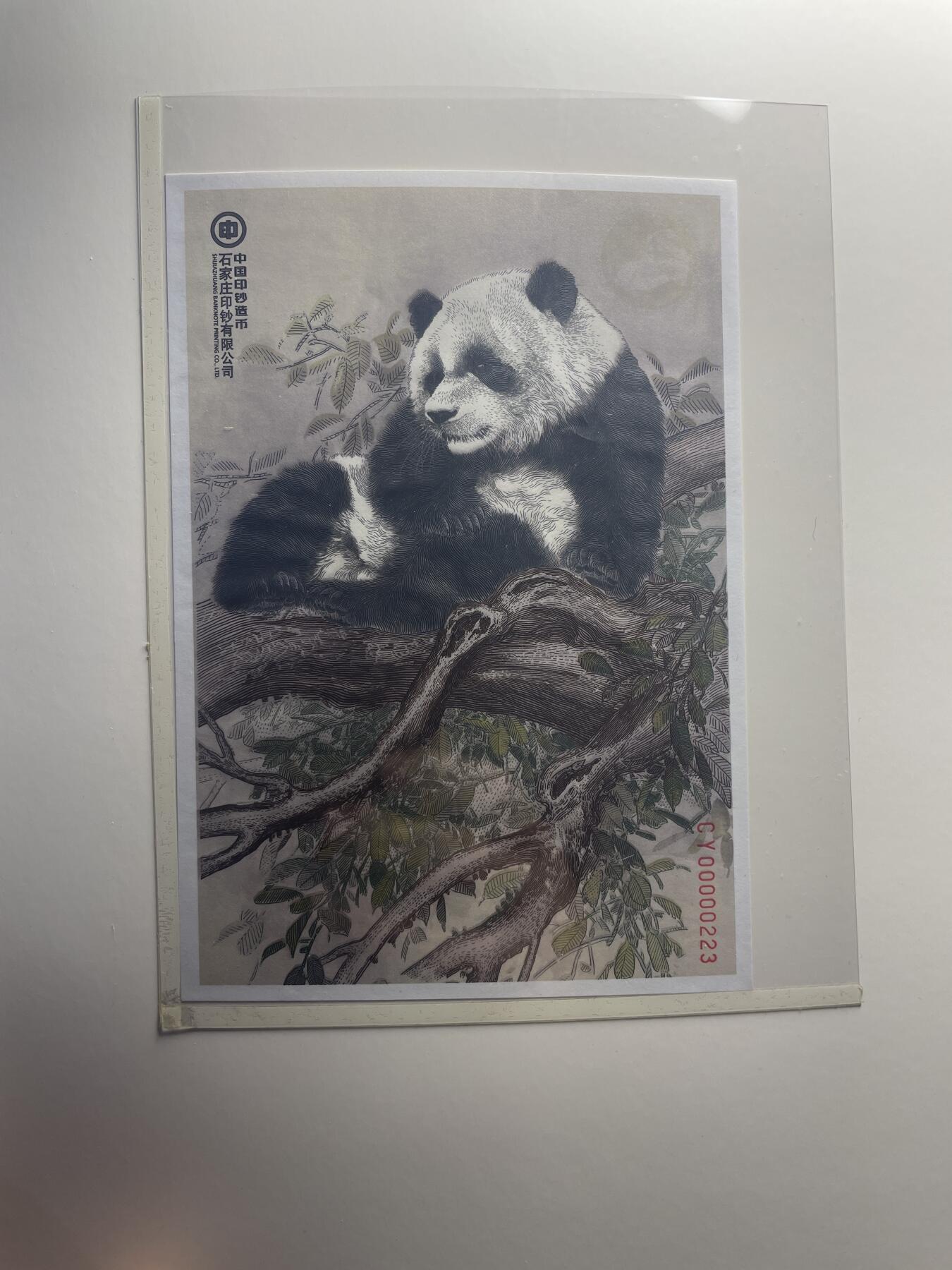 品味人生 大熊猫钞艺画一套二张