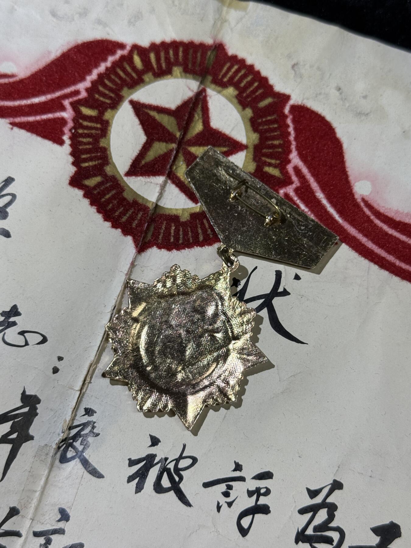 戎马世界章牌大赏第115期