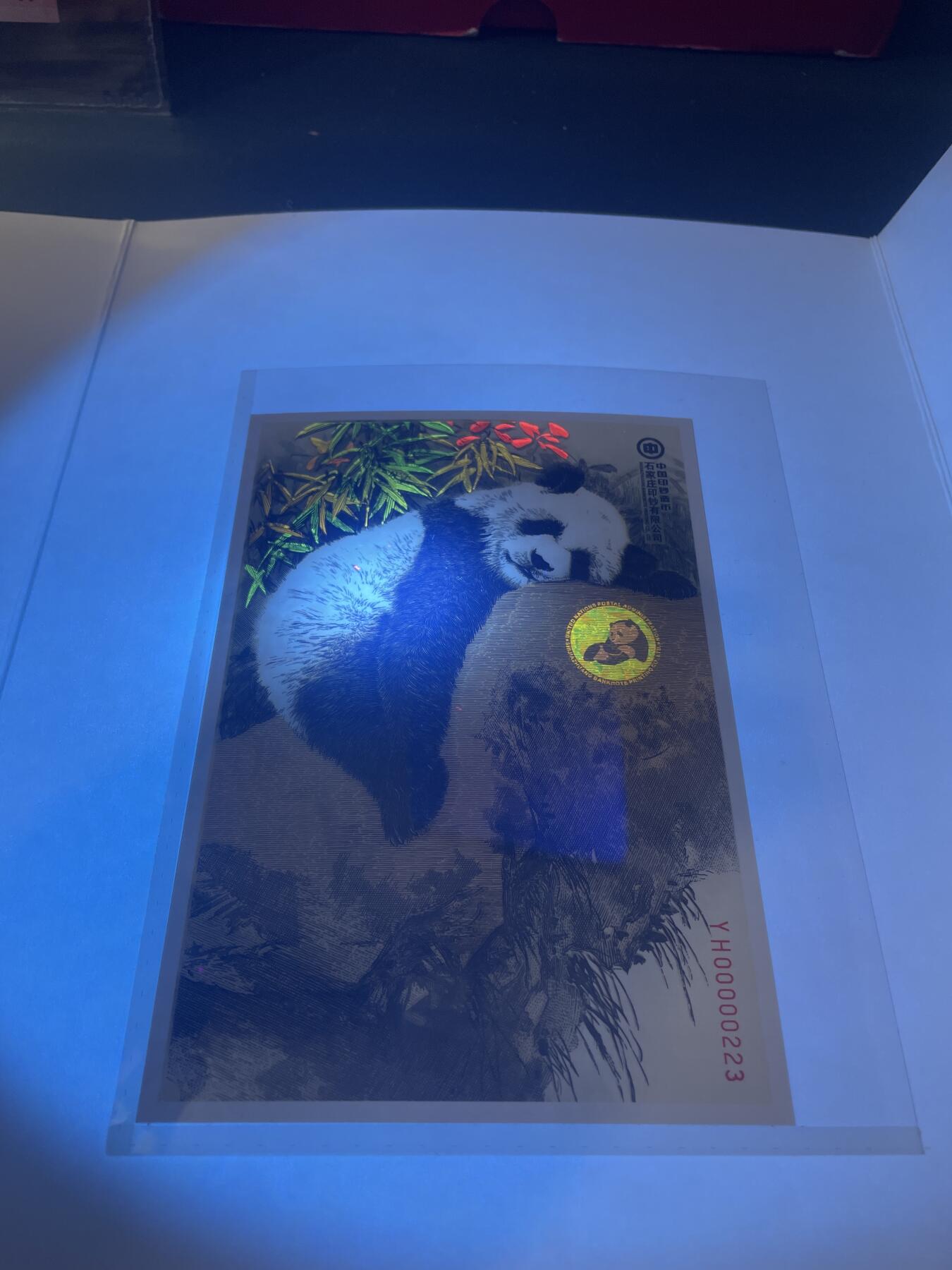 品味人生 大熊猫钞艺画一套二张