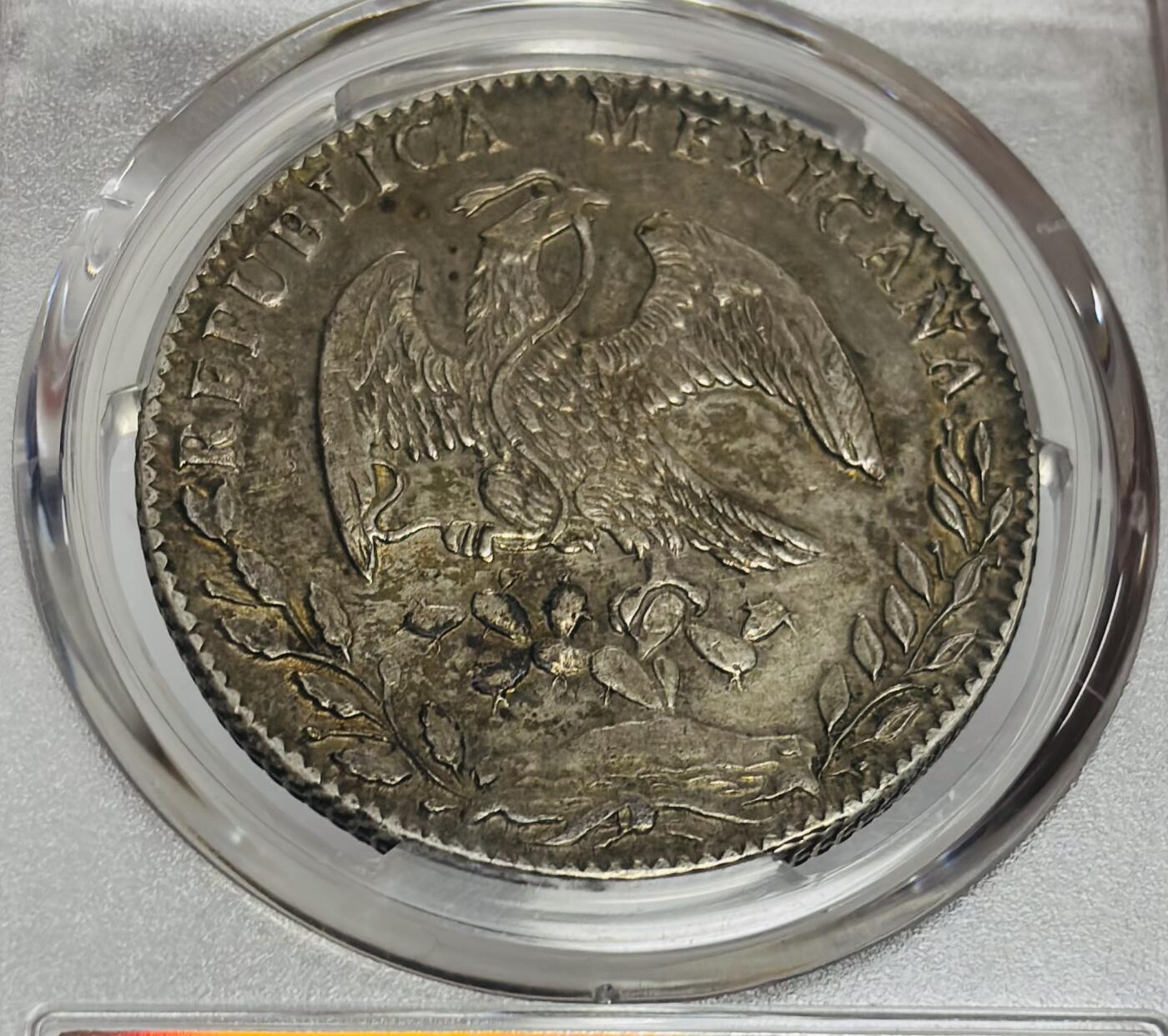 文馨钱币收藏第 300 场，银币，散币，小量德占比利时时期货币，长期接代拍业务 PCGS AU D 1885 年墨西哥 8R 大银币 少见 RR 版