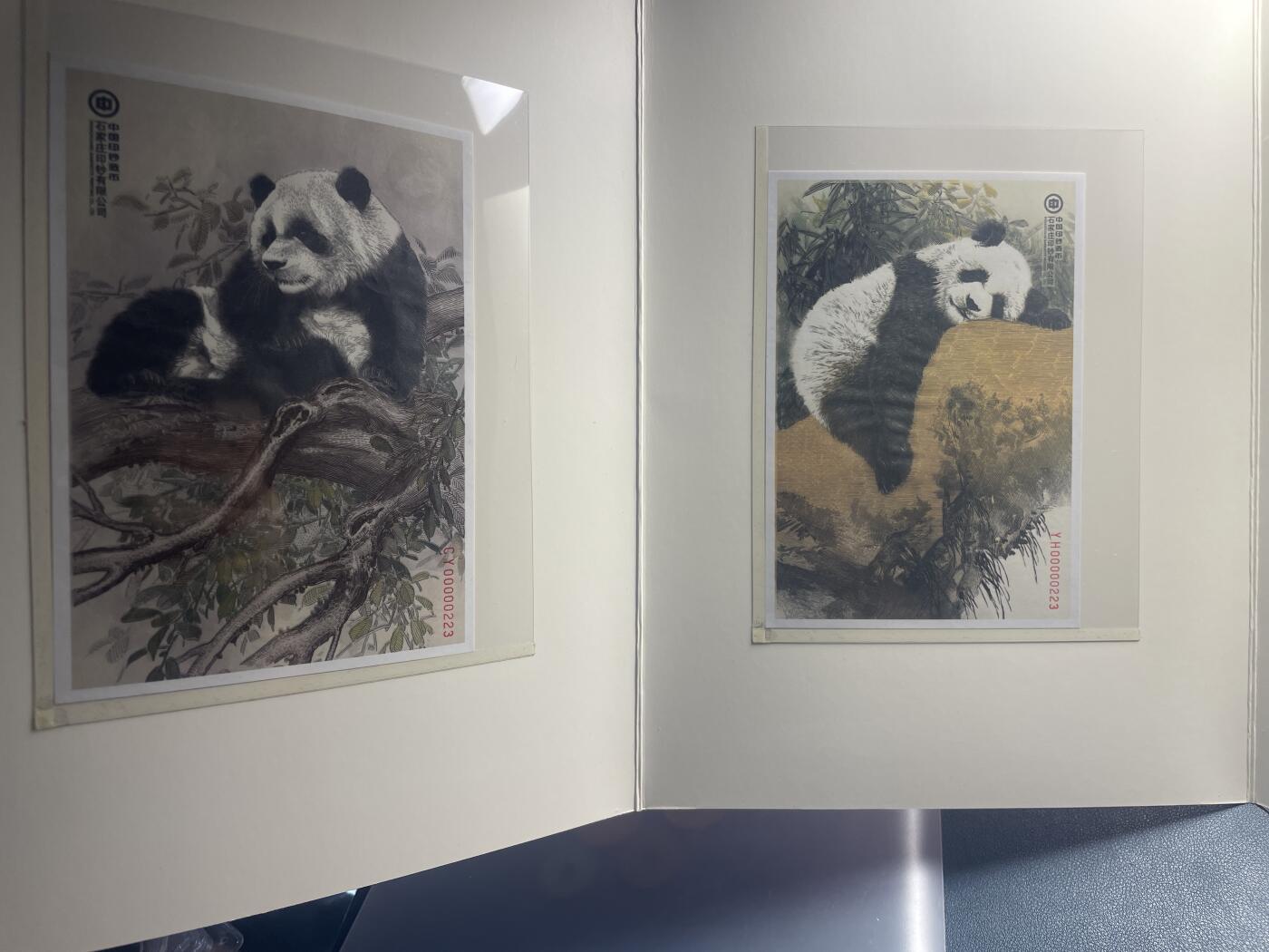 品味人生 大熊猫钞艺画一套二张