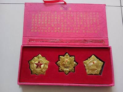 工艺品徽章一套 - 工艺品徽章一套