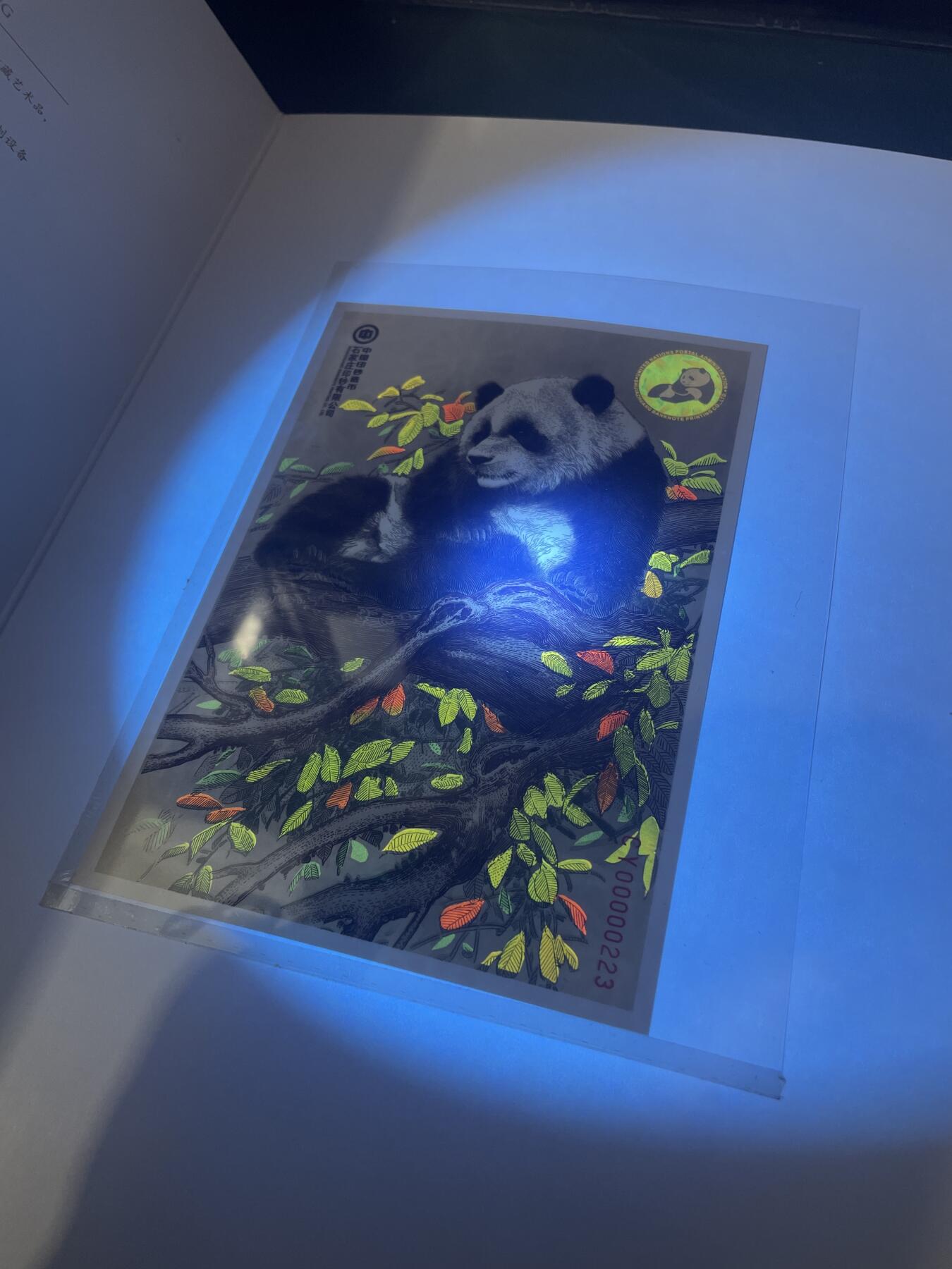 品味人生 大熊猫钞艺画一套二张