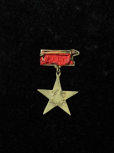 戎马世界章牌大赏第115期 越南英雄金星奖章