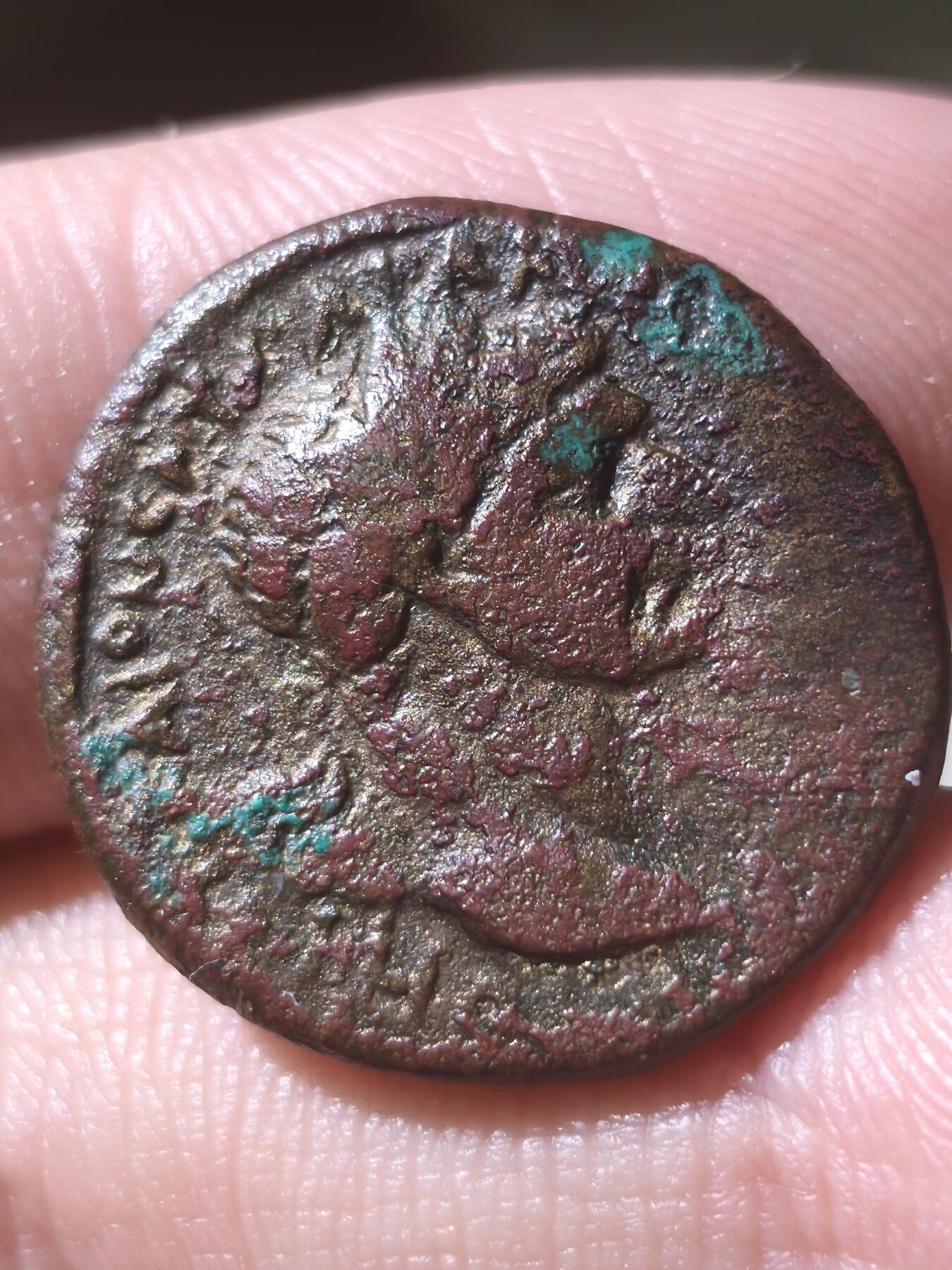 星盘世界钱币拍卖低佣金福利场(不直播) 罗马帝国7.56g 公元98-117年 五贤帝图拉真 少见本都行省大铜币 尼科波利斯城（Nikopolis）发行。