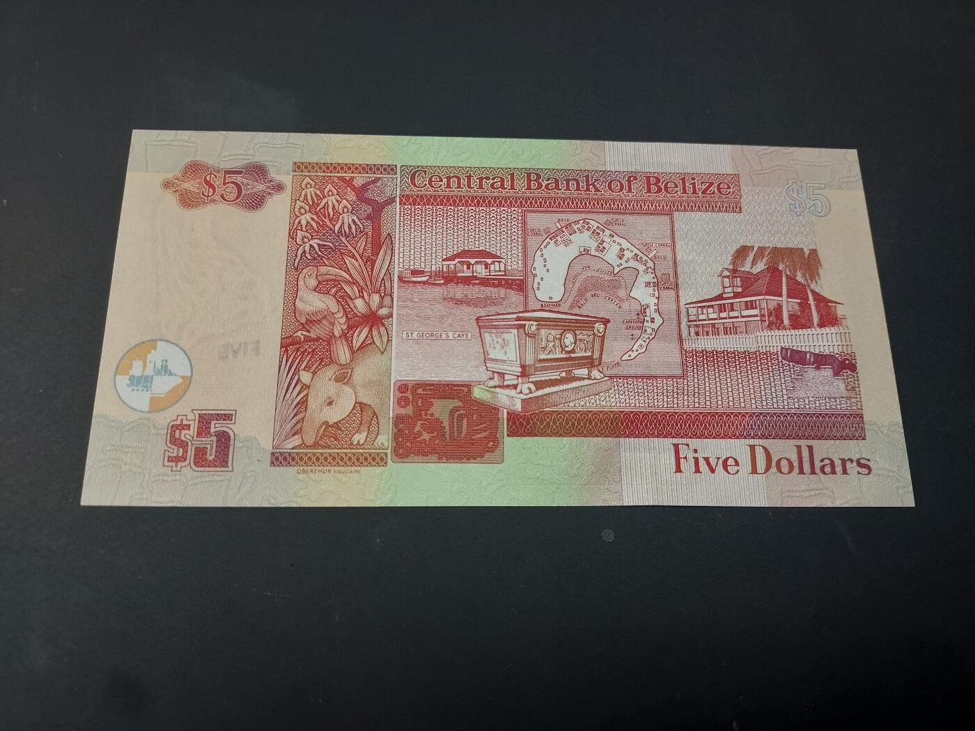 博彦收藏  4月25日 8点  钱币专场