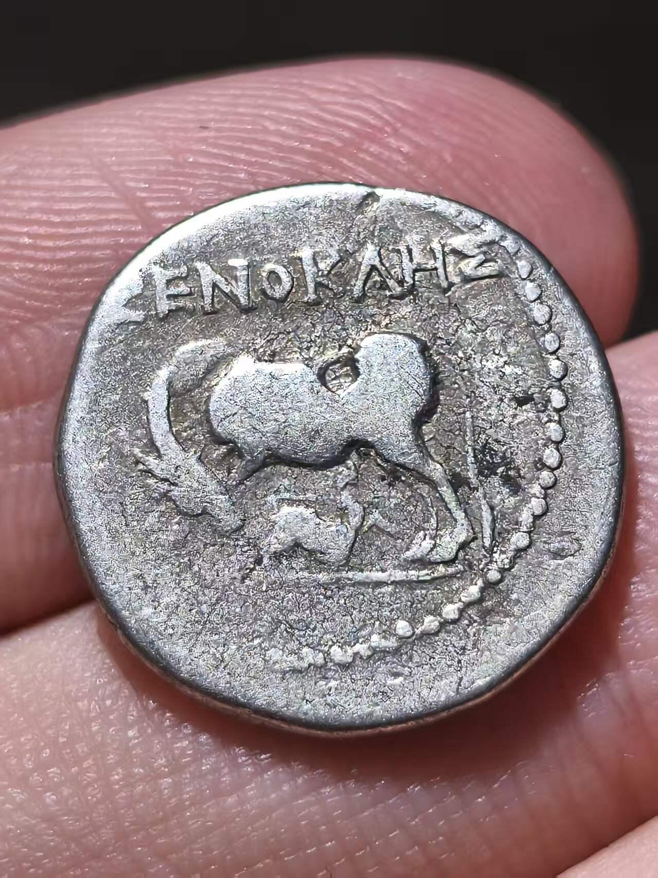 星盘世界钱币拍卖低佣金福利场(不直播) 美品！古希腊 伊利里亚地区 约公元前229-公元前100年 母牛育犊背星盘 一德拉克马银币  正面为母牛低头哺乳牛犊，可能暗指宙斯的情人伊俄被变为母牛的神话