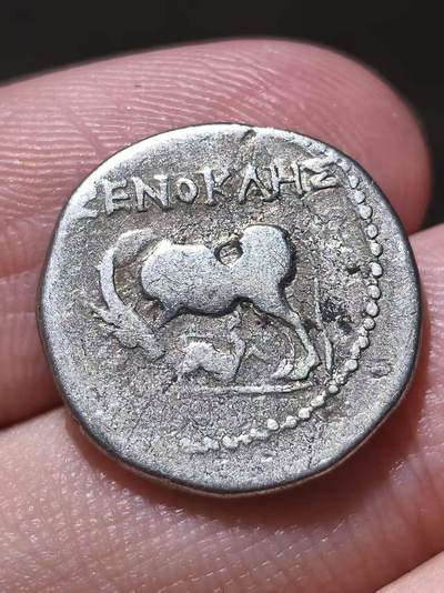 星盘世界钱币拍卖低佣金福利场(不直播) - 美品！古希腊 伊利里亚地区 约公元前229-公元前100年 母牛育犊背星盘 一德拉克马银币  正面为母牛低头哺乳牛犊，可能暗指宙斯的情人伊俄被变为母牛的神话