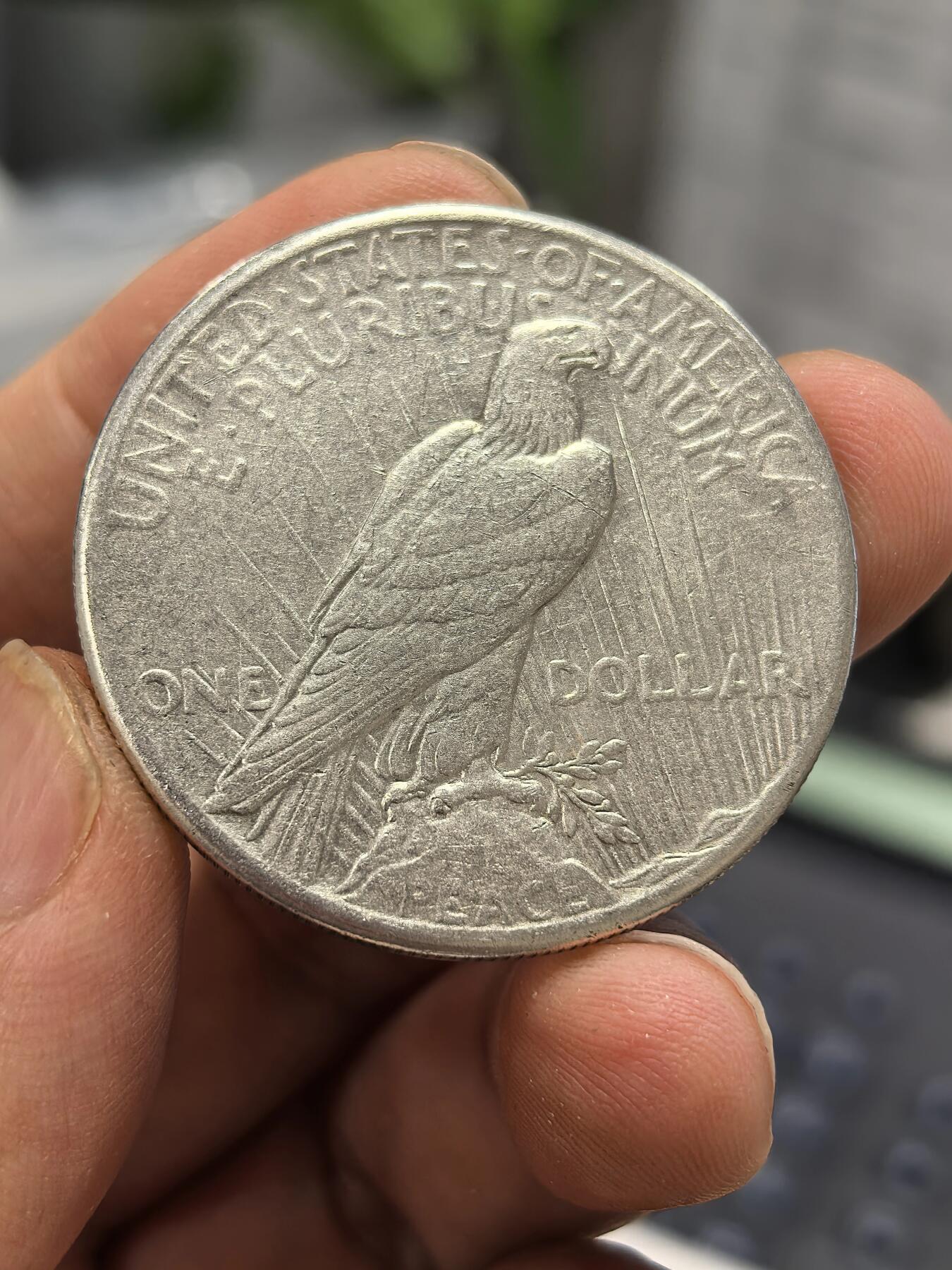 博洋堂世界钱币拍卖第168期（全场包邮） 美国1925年和平银币-1