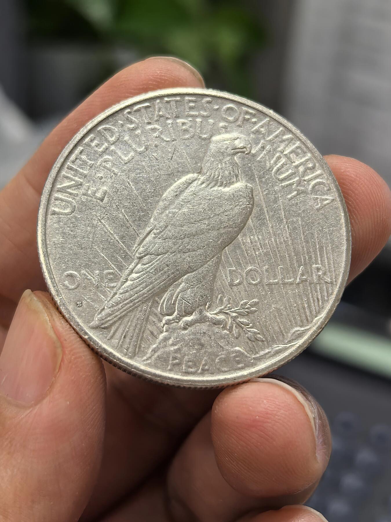 博洋堂世界钱币拍卖第168期（全场包邮） 美国1926年和平银币