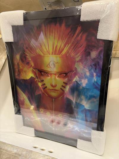 麦趣喜第六场   (4月17号周五晚上22点截拍，专注买家市场，福利拉满)  3D光栅大画 A3大小 全新 3种形态变化