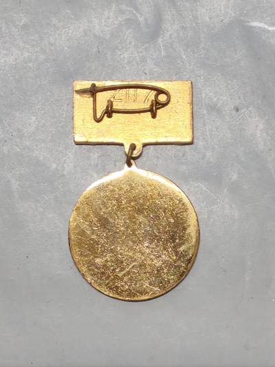 韵星假日军品类拍卖第56期  -- Rimey Holidays Militaria Auction 56 越南社会主义共和国光荣在党五十周年纪念奖章