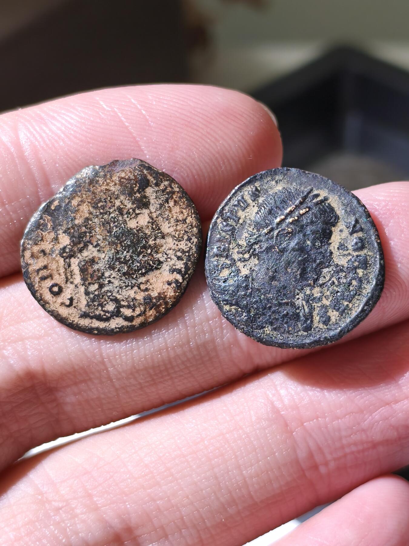 星盘世界钱币拍卖低佣金福利场(不直播) 