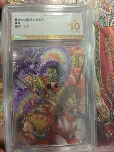 寸草不生 马年拍卖第三期 GOGOGO   墨婉文化（乾坤未定系列）
姜维
爆金
画师：太乙