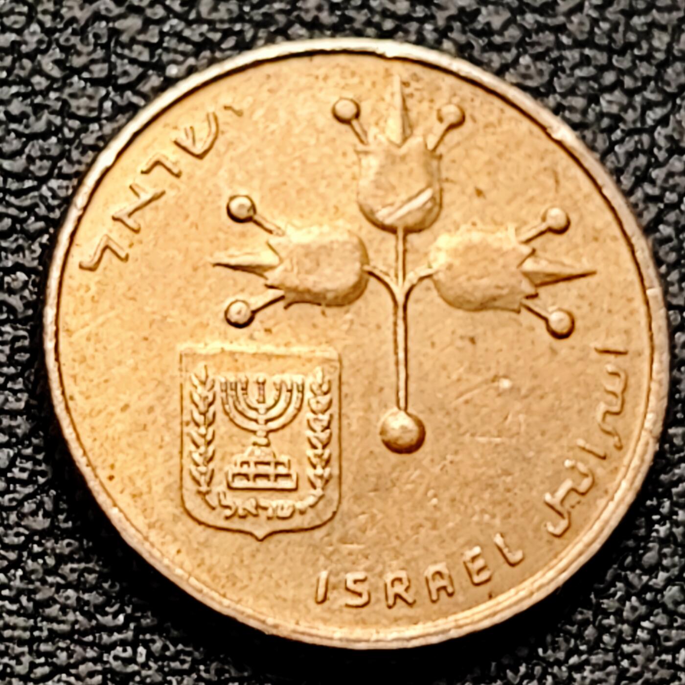 泉币菌-第226场-拍品多 请提前出价 以色列 10新阿哥拉 黄铜币 纪念币铜钱 袖珍币