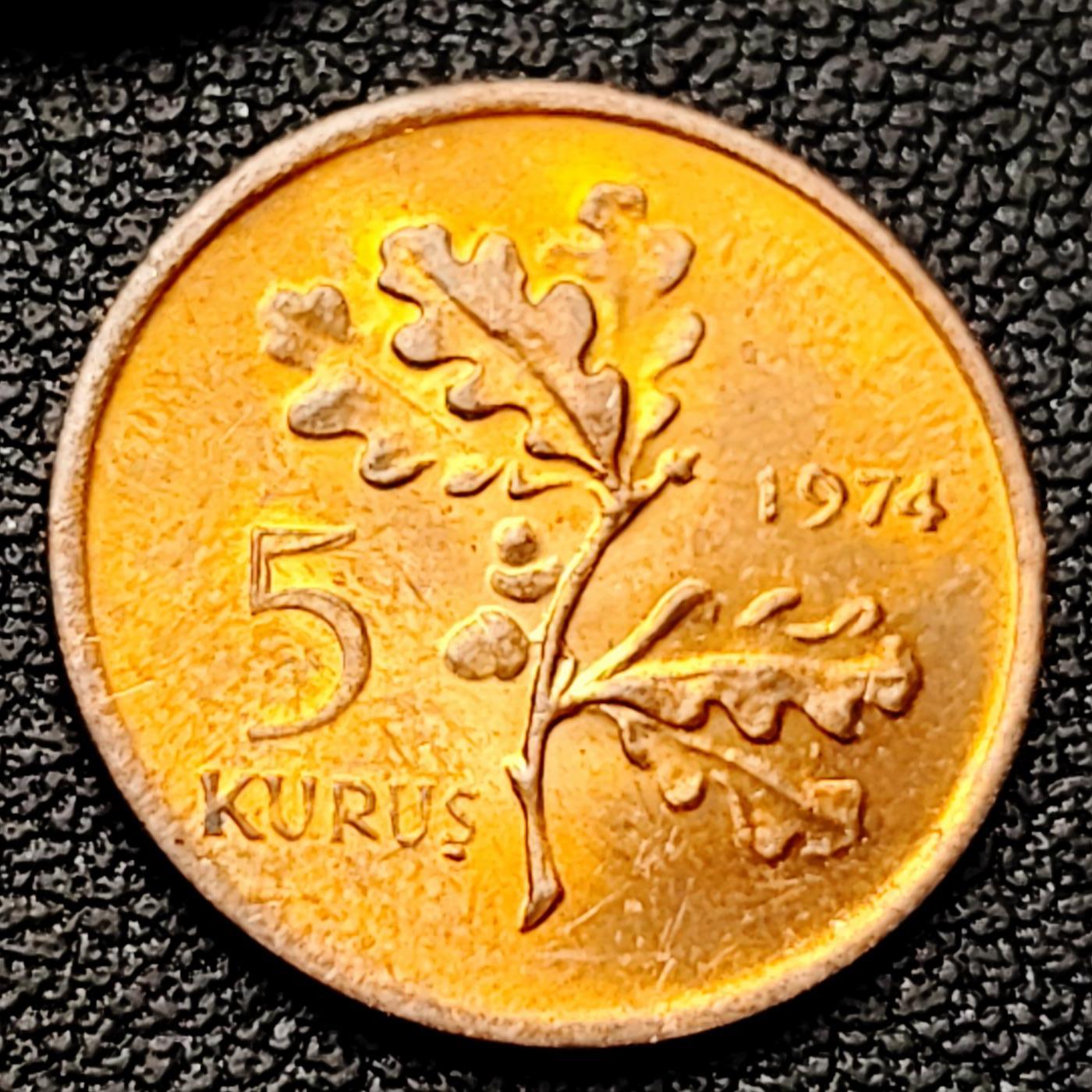 泉币菌-第226场-拍品多 请提前出价 原铜光 橡枝橡果 1974年土耳其5库鲁青铜硬币 袖珍币