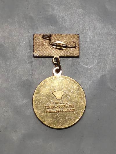 韵星假日军品类拍卖第56期  -- Rimey Holidays Militaria Auction 56 越南社会主义共和国光荣在党四十周年纪念奖章