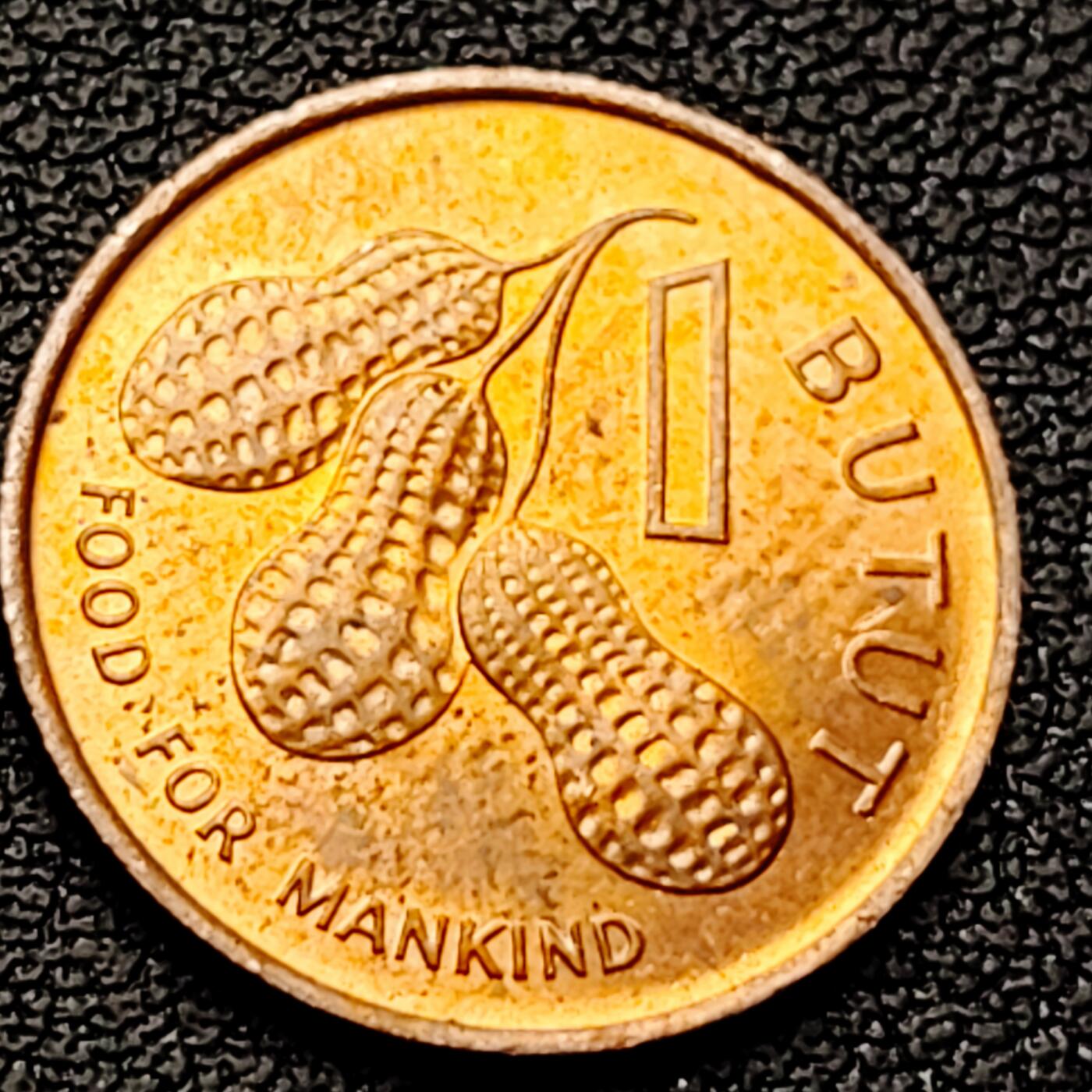 泉币菌-第226场-拍品多 请提前出价 铜光美品 花生 FAO粮农币 冈比亚1布图青铜硬币 首任总统达瓦达 袖珍币