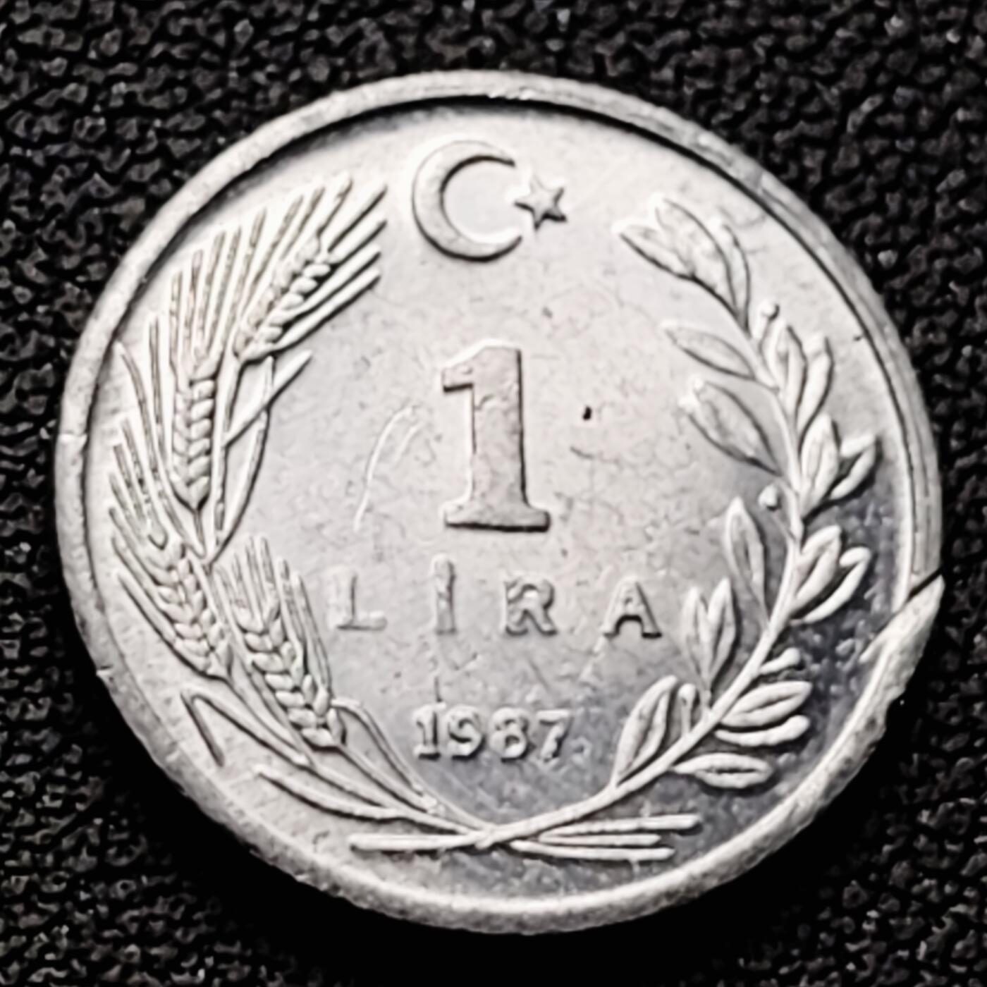 泉币菌-第226场-拍品多 请提前出价 原光 土耳其1里拉铝制人物硬币  纪念币铜钱 袖珍币