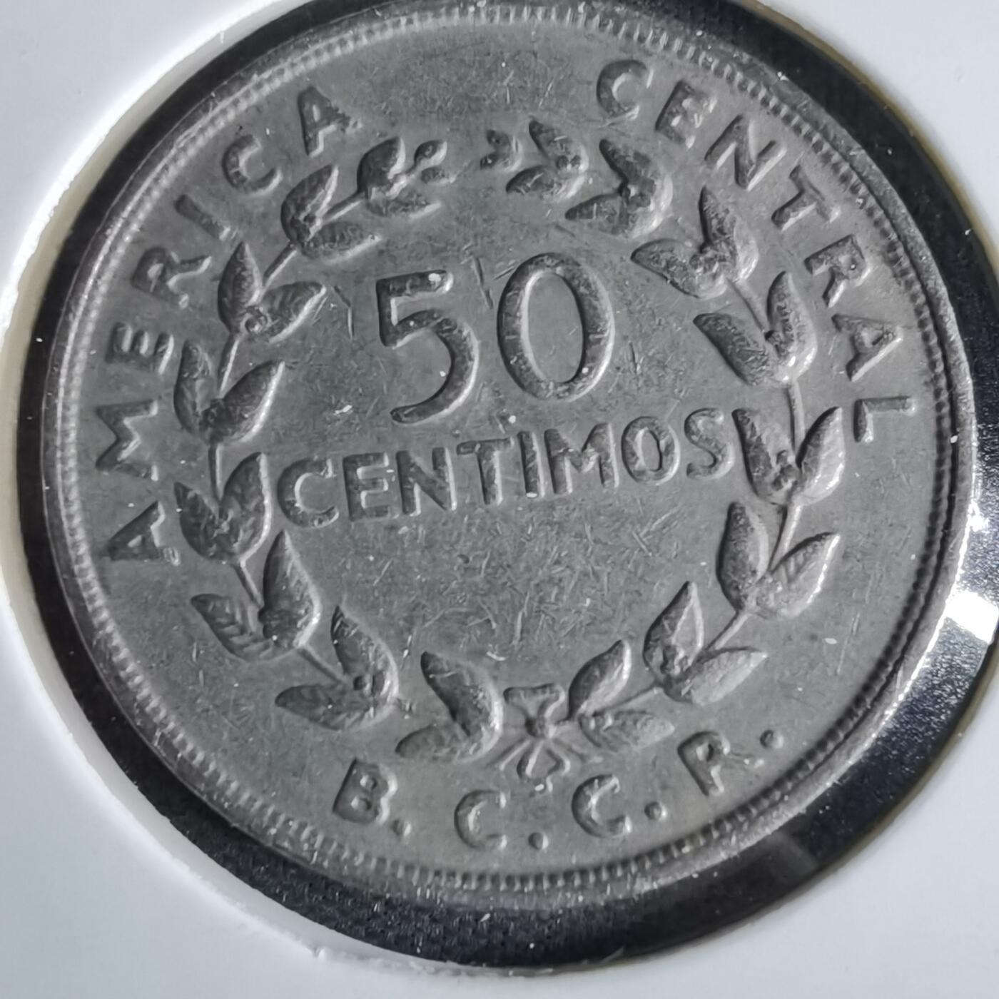 沼泽如烟--第1055场