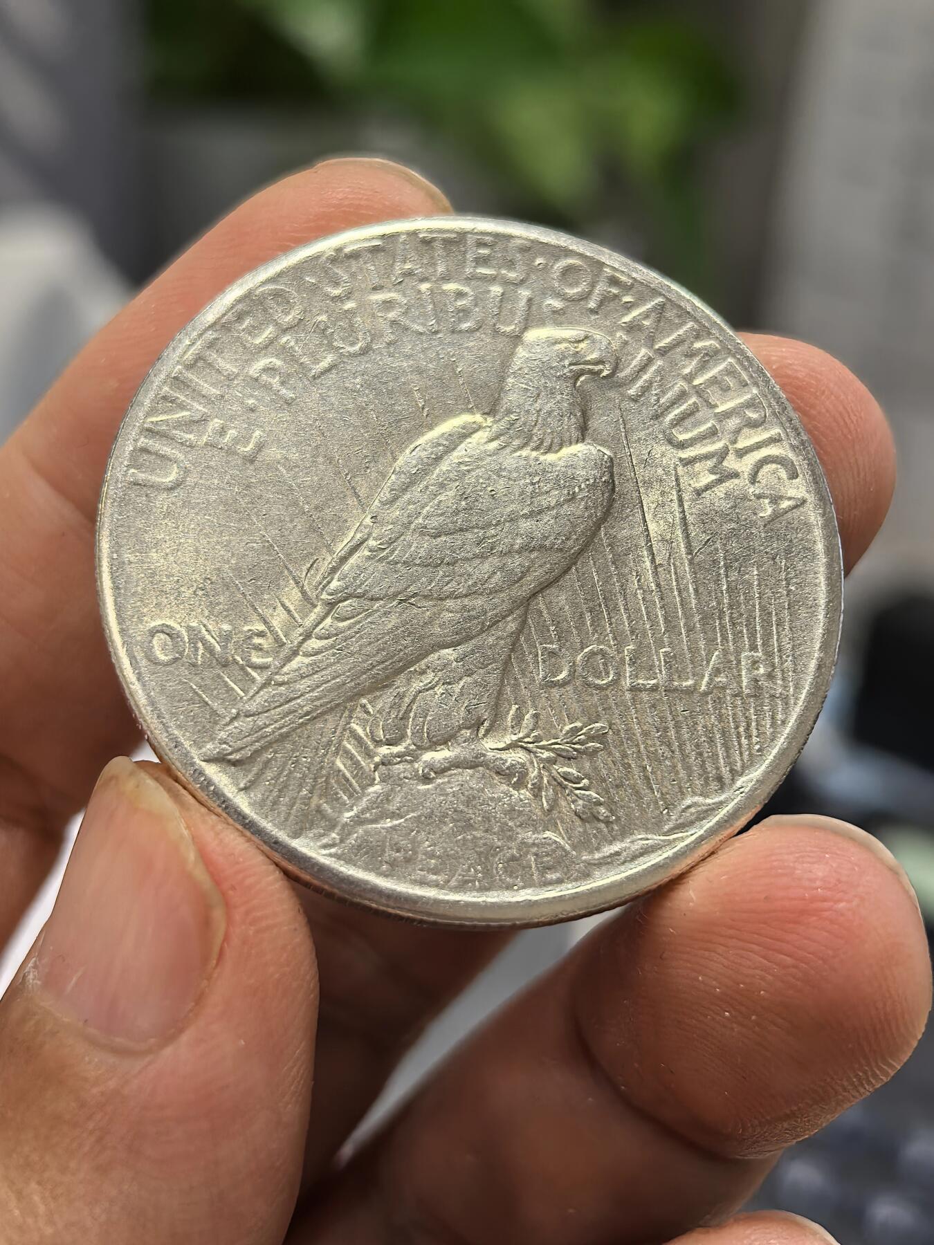 博洋堂世界钱币拍卖第168期（全场包邮） 美国1925年和平银币-2