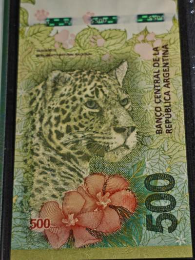 刘世昌艺术品销售中心～虎踞龙蟠*金杨在线联拍群第521期 阿根廷2016年500比索（PMG 66E 号码：12826678D）1枚。