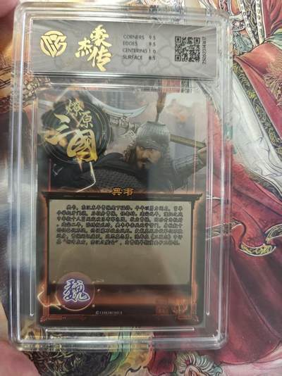 寸草不生 马年拍卖第三期 GOGOGO   焱卡文化豪杰传×燎原三国 
典韦
折光（BA-D）