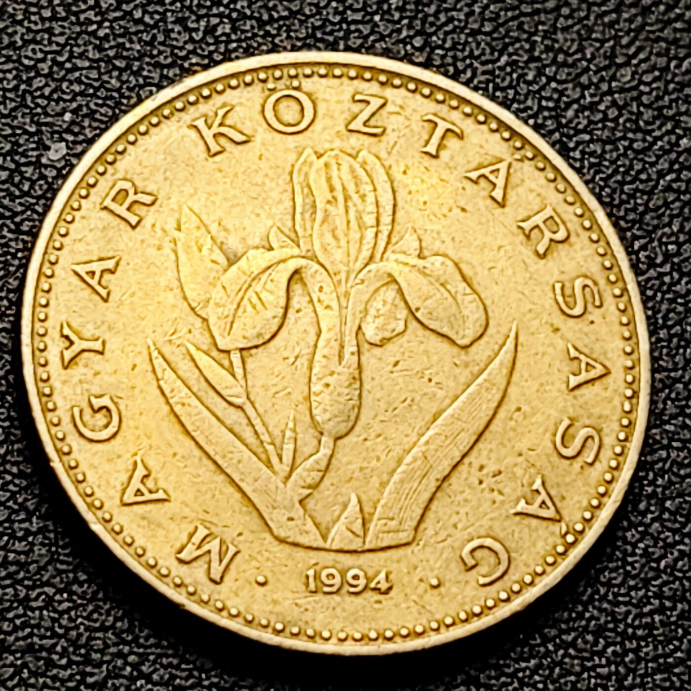 泉币菌-第226场-拍品多 请提前出价 无叶鸢尾花 匈牙利1994年 20福林銅镍锌硬币 26.3毫米 6.9克