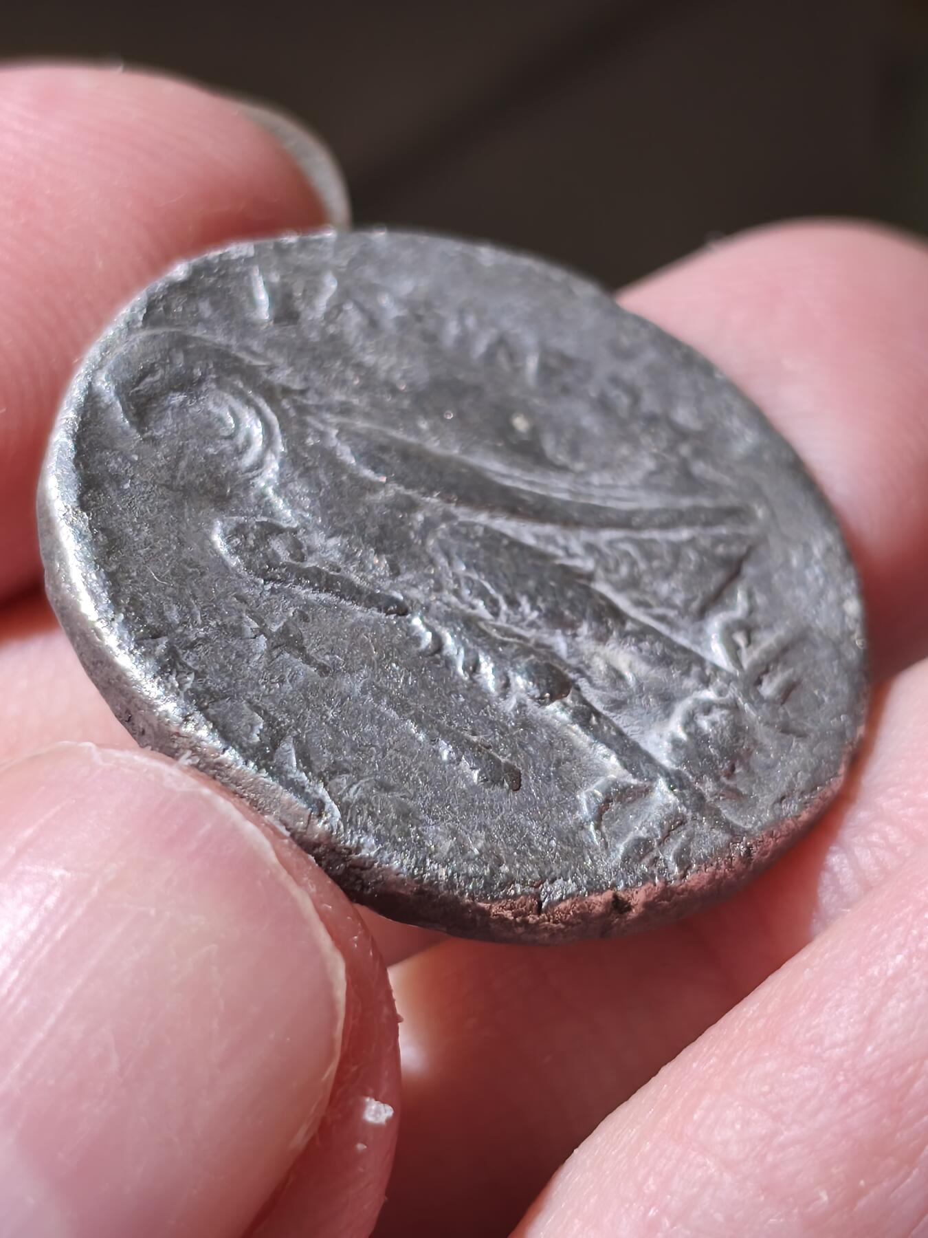 星盘世界钱币拍卖低佣金福利场(不直播) 古埃及-希腊化托勒密王国 托勒密二世4德拉克马大银币 约前275-266年 背面埃及式站鹰 一直在猛涨的币种 古埃及最后一个王朝