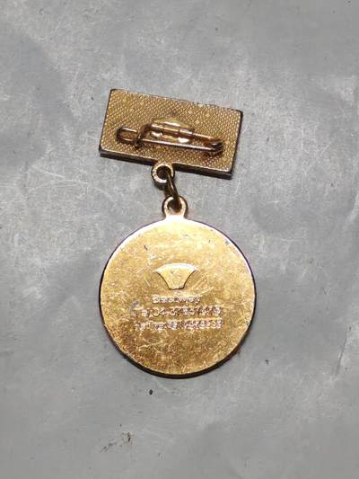 韵星假日军品类拍卖第56期  -- Rimey Holidays Militaria Auction 56 越南社会主义共和国光荣在党六十周年纪念奖章