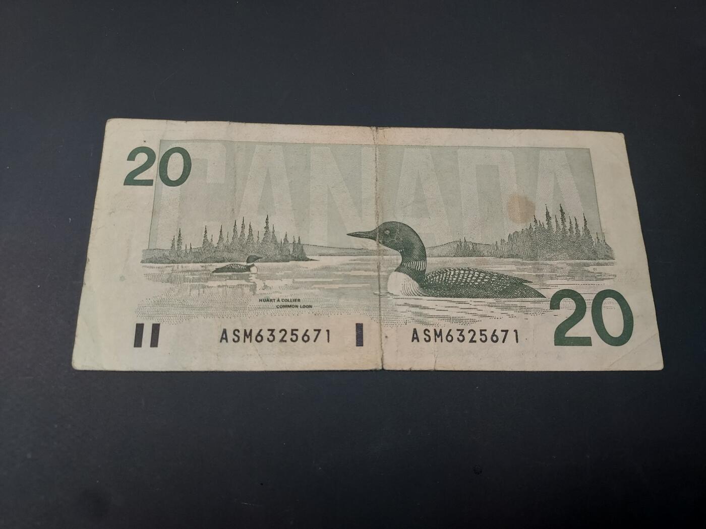 博彦收藏  4月25日 8点  钱币专场