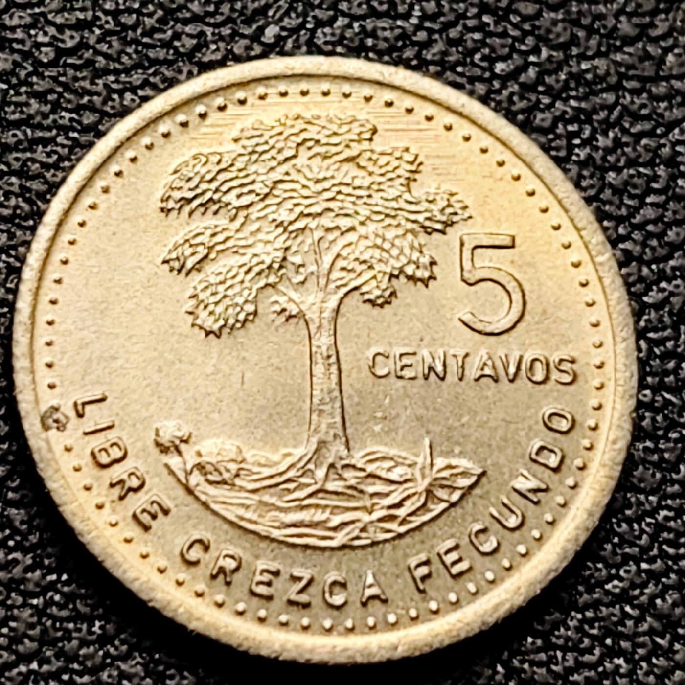 泉币菌-第226场-拍品多 请提前出价 原光 树 危地马拉1987年5分銅镍币 袖珍币