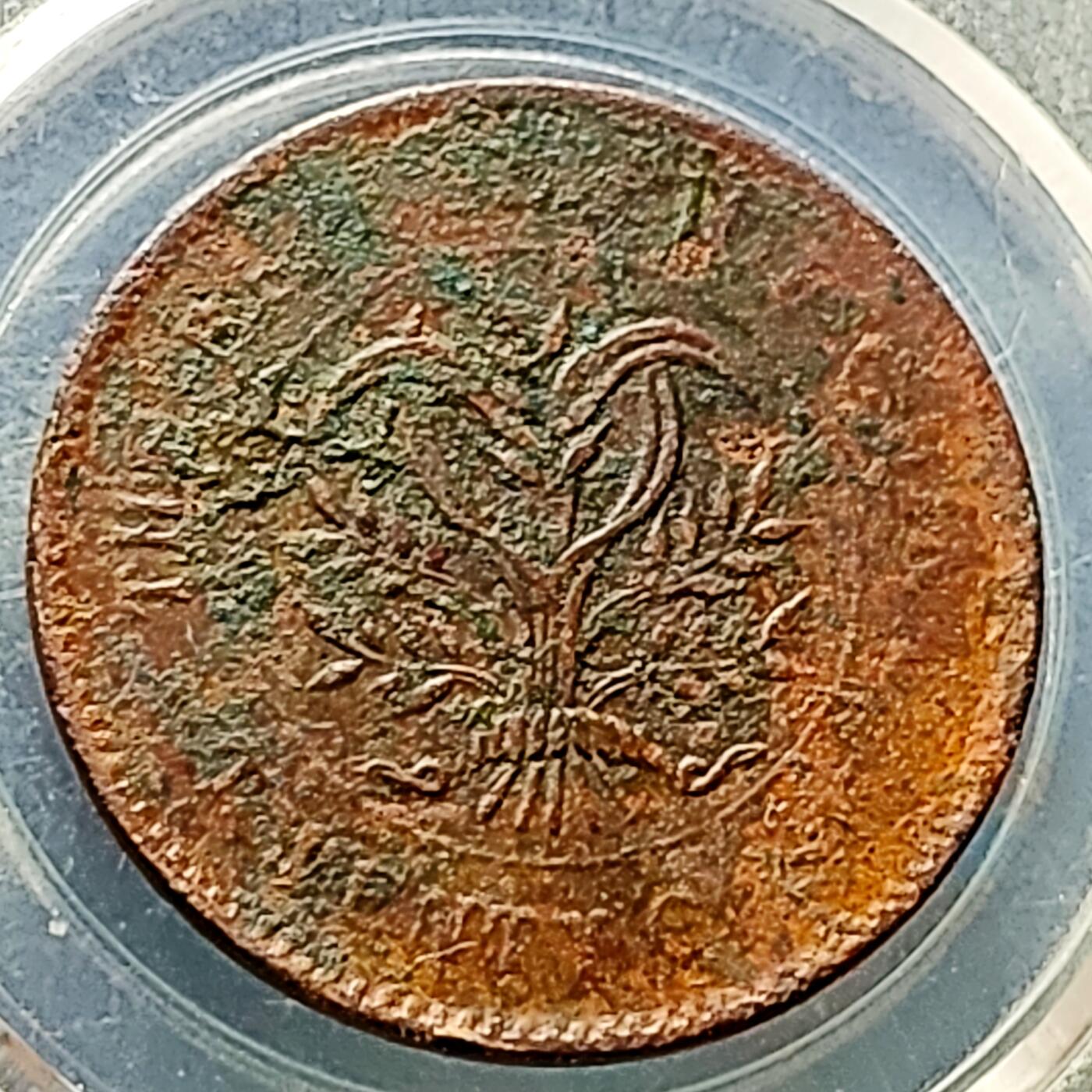 泉币菌-第226场-拍品多 请提前出价 湖南省造二十文铜元 嘉禾 32×1.5mm 背逆