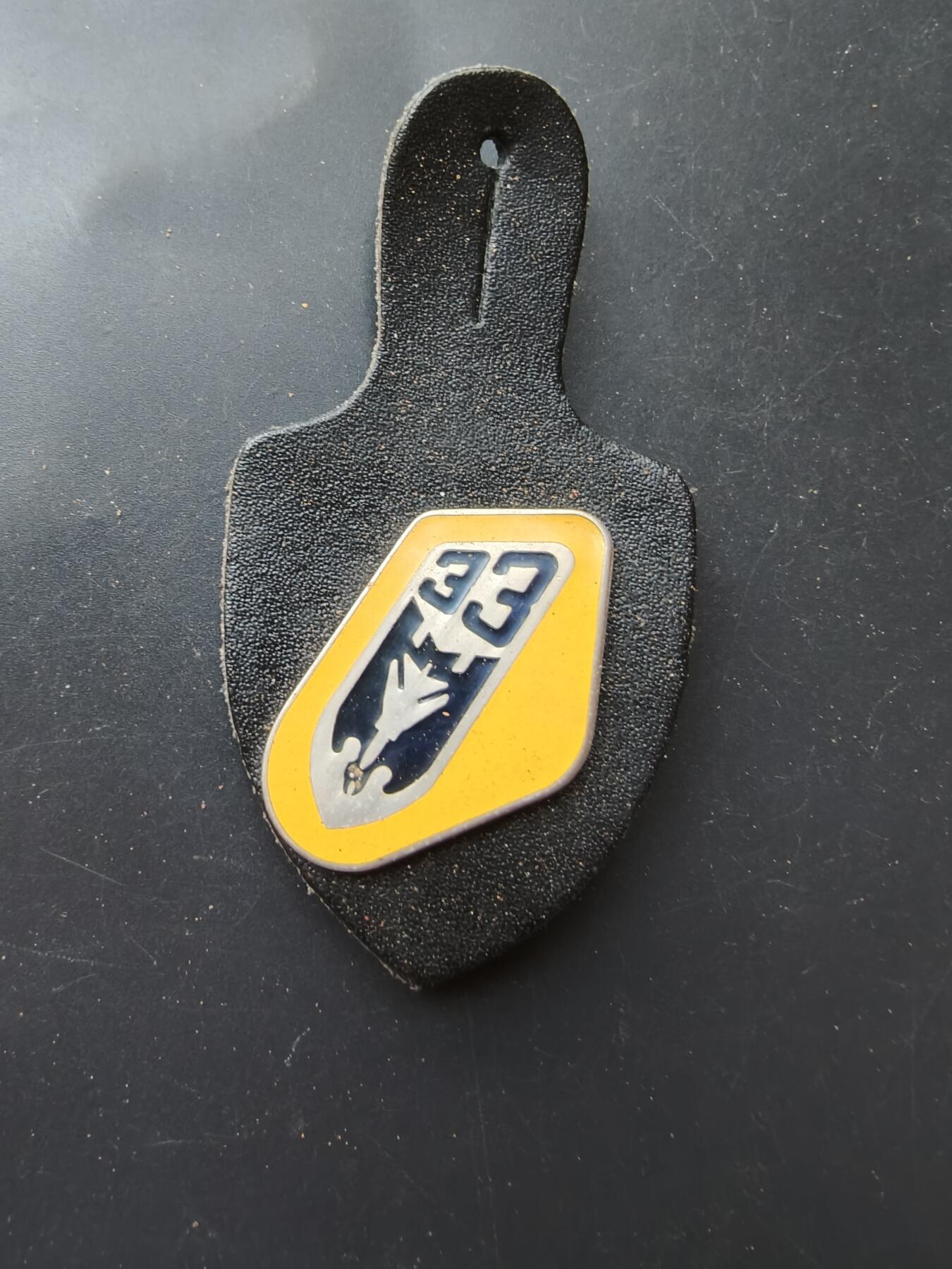 老王徽章第192期 德国空军第33战术联队/战斗轰炸机联队证章