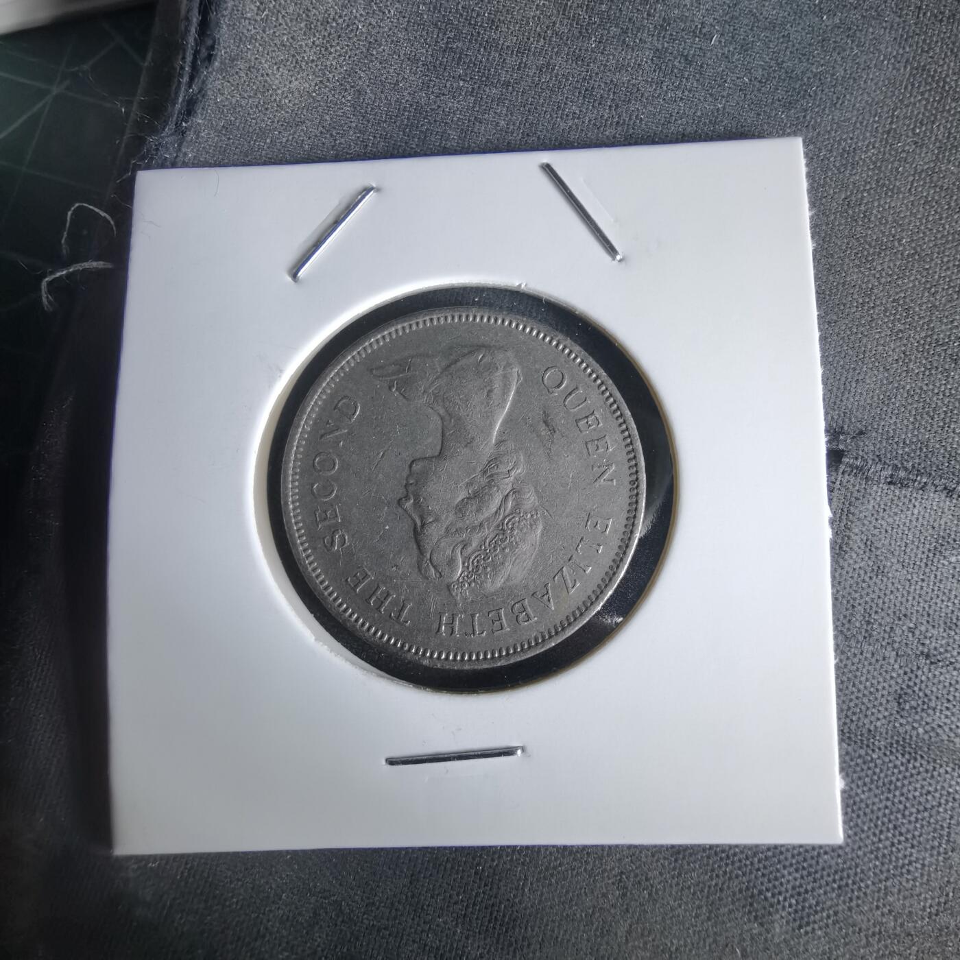 沼泽如烟--第1056场