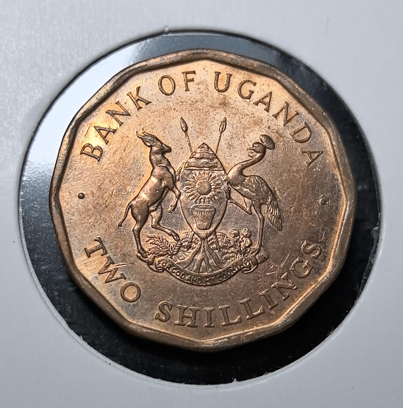 外国优质老铜币纪念币银币专场，周六晚上九点倒数截拍，满百包邮，周日发货,可寄存半年，喜欢朋友微信扫描二维码可直接参拍