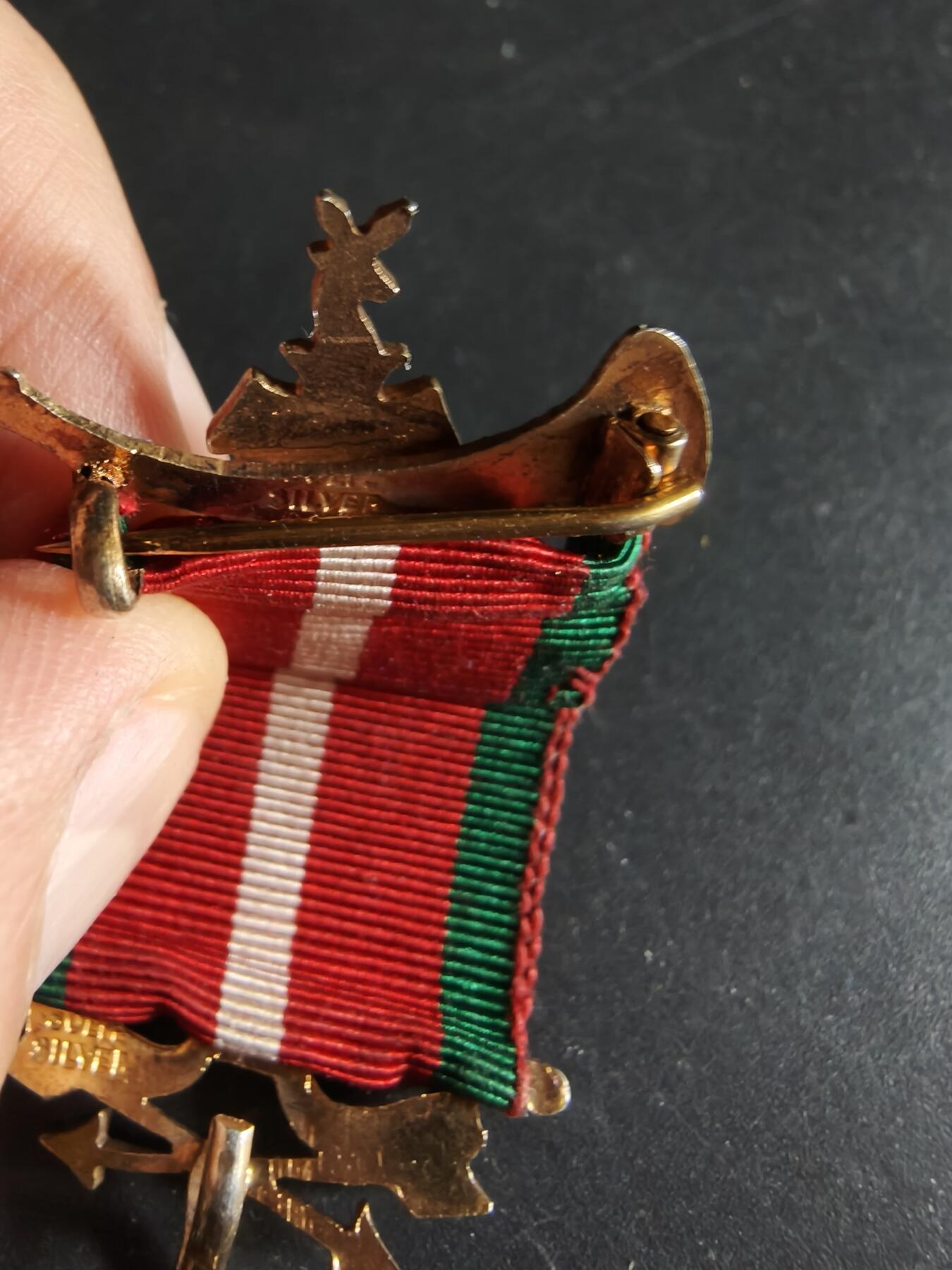 老王徽章第192期 英国古老森林人兄弟会奖章     925银镀金珐琅       16.5g