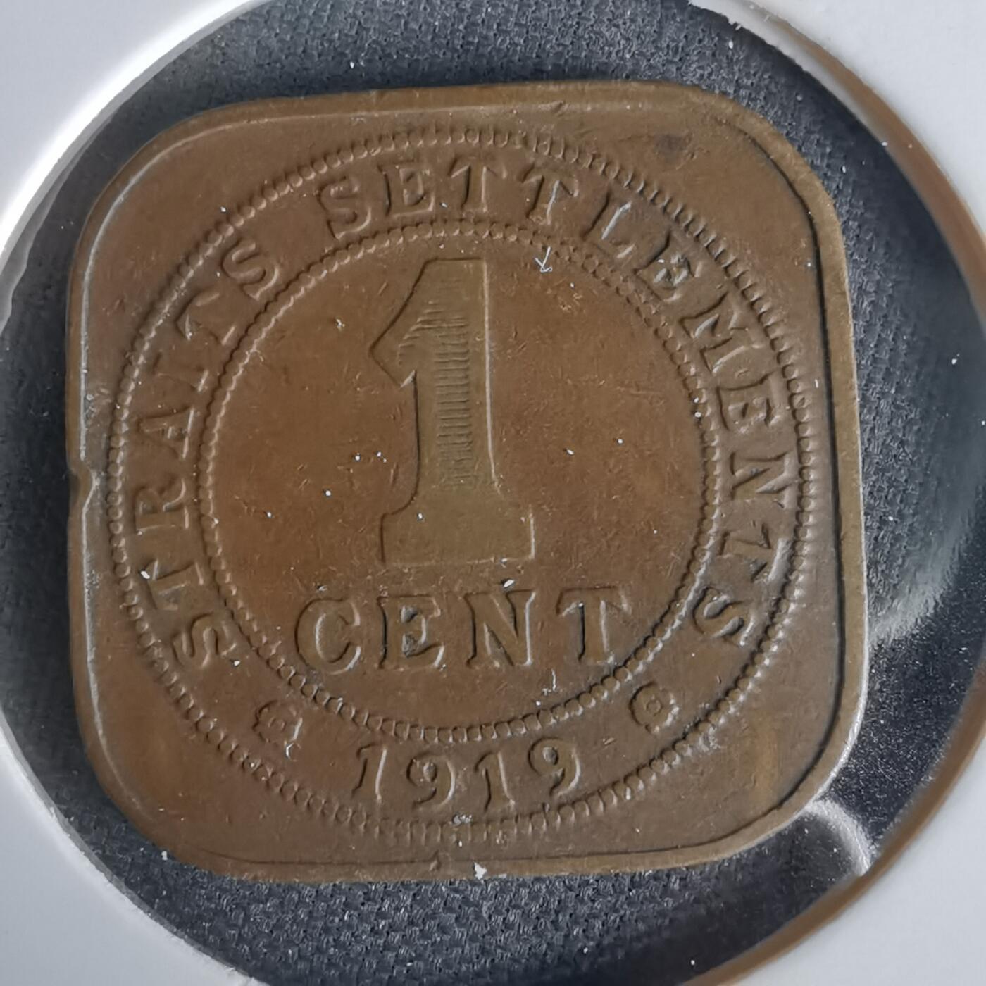 沼泽如烟--第1056场