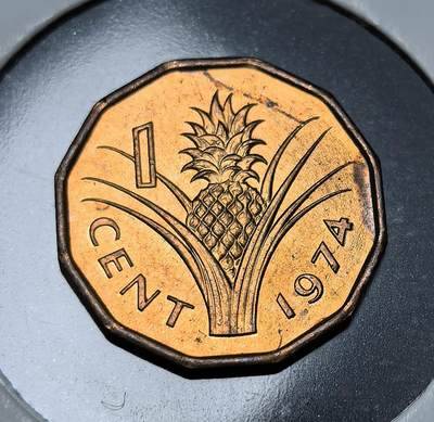 外国优质老铜币纪念币银币专场，周六晚上九点倒数截拍，满百包邮，周日发货,可寄存半年，喜欢朋友微信扫描二维码可直接参拍 - 斯威士兰菠萝1 分铜币，正面为国王索布扎二世像，背面是菠萝，是该国独立后发行的本土流通辅币，彰显其农业经济与主权。