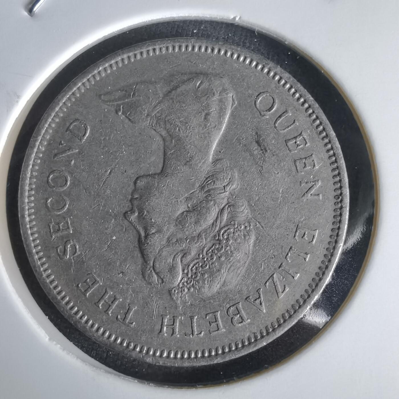 沼泽如烟--第1056场