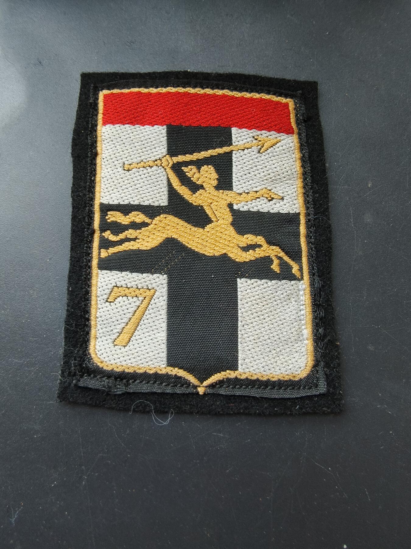 老王徽章第192期 法国陆军第7装甲旅臂章