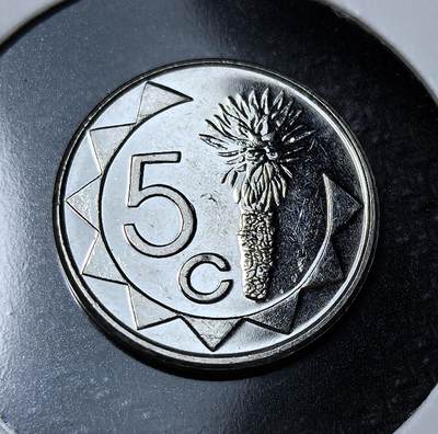 外国优质老铜币纪念币银币专场，周六晚上九点倒数截拍，满百包邮，周日发货,可寄存半年，喜欢朋友微信扫描二维码可直接参拍 - 纳米比亚箭袋树5分，正面为纳米比亚国徽，背面刻有箭袋树与面值，是纳米比亚独立后发行的本土货币，彰显其国家主权与非洲南部独特的自然风貌。