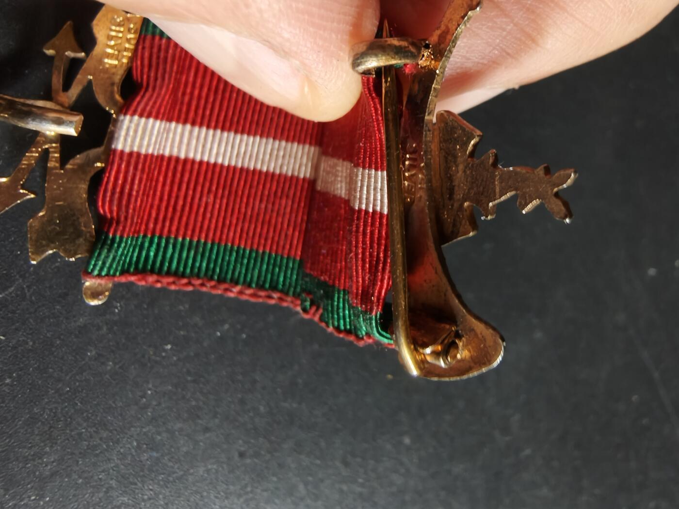 老王徽章第192期 英国古老森林人兄弟会奖章     925银镀金珐琅       16.5g