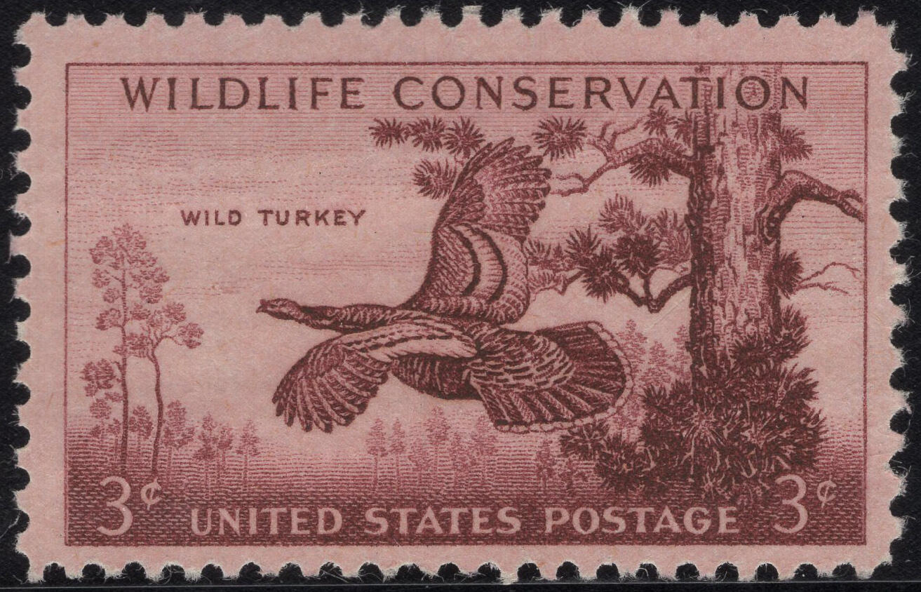 洪涛臻品批发群 精选邮票限时拍卖第1316期  1956美国濒危野生保护动物-野生火鸡 雕刻版原胶全品！