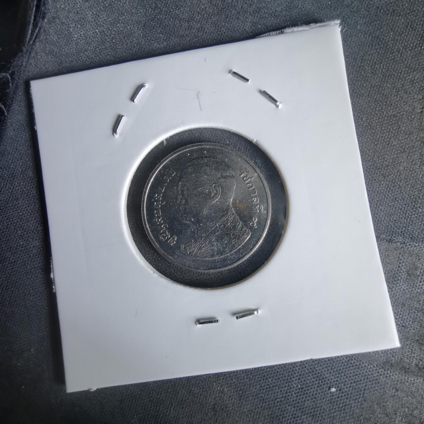 沼泽如烟--第1056场