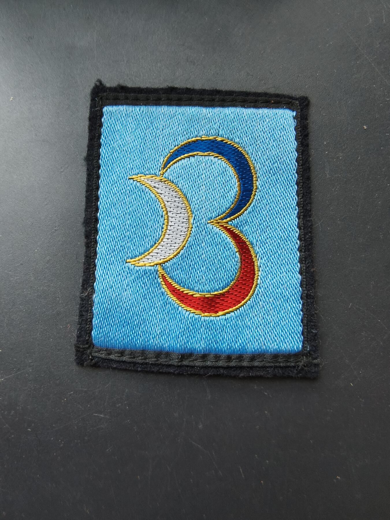 老王徽章第192期 法国阿尔及利亚第3步兵师臂章