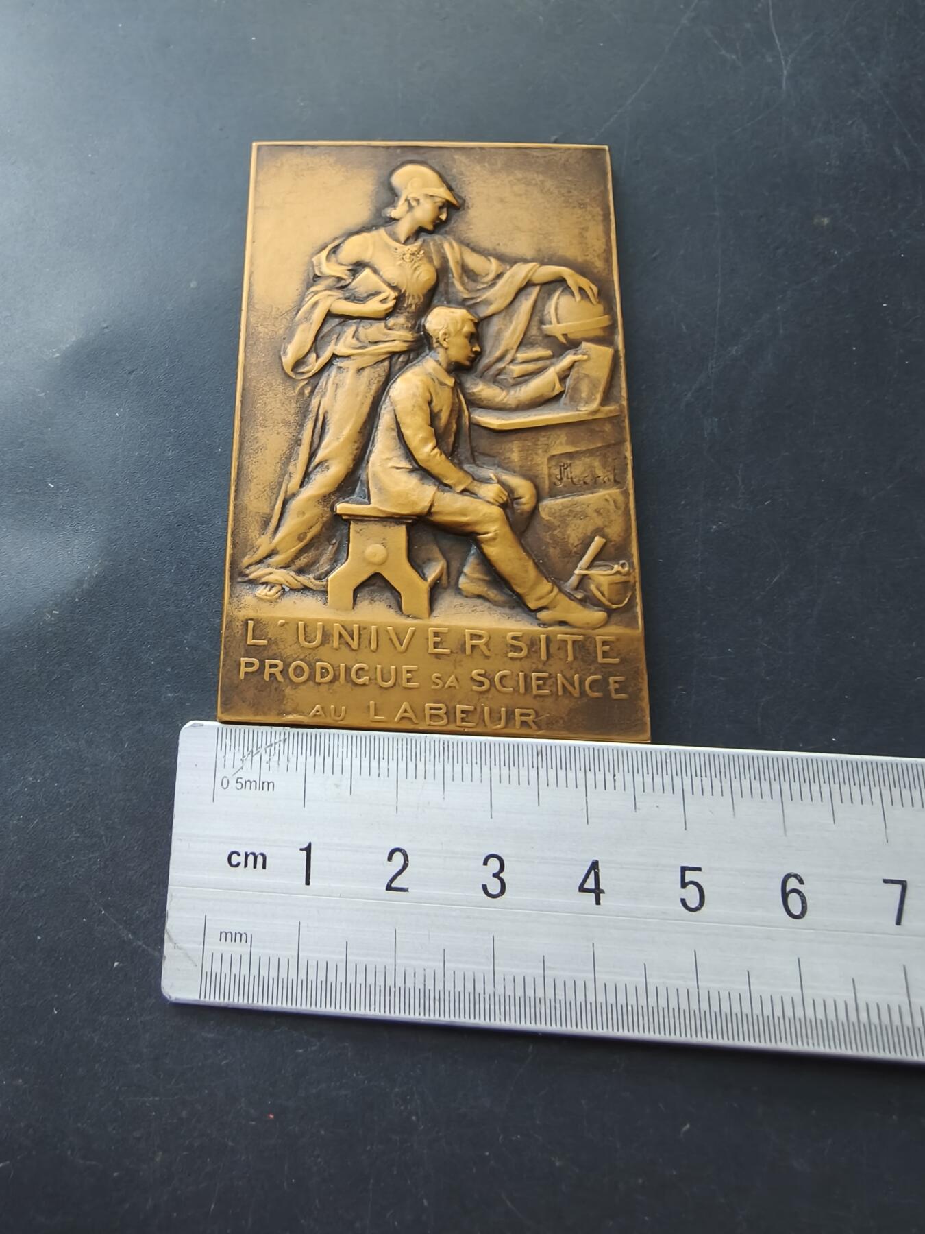 老王徽章第192期 法国大学教育成就方形大铜章      尺寸76×46mm     重量113.2g